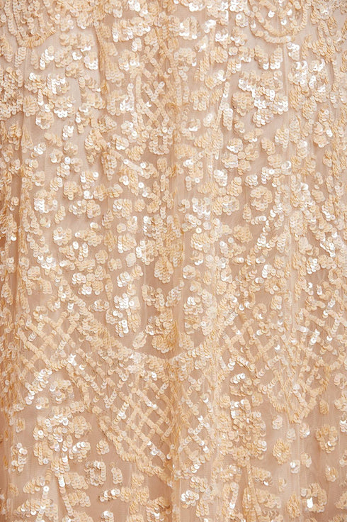 Amalie Sequin V-Neck Gown – Champagne | Needle & Thread